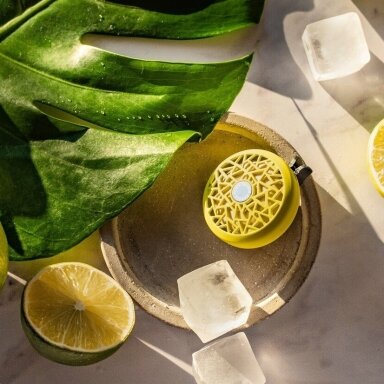 Maison Berger automobilio kvapas TAHITIAN GREEN ZEST