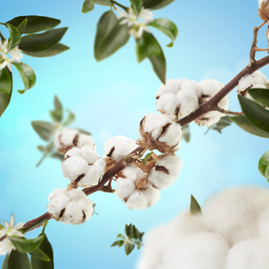 Maison Berger kvapo papildymas Cotton Caress 200 ml Maison Berger kvapo papildymas Cotton Caress 200 ml