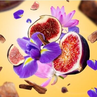 Maison Berger kvapo papildymas Sweet Fig 200 ml