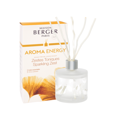 Maison Berger namų kvapas AROMA Energy 180 ml