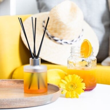 Maison Berger namų kvapas Blissful 115 ml