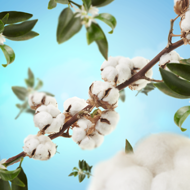 Maison Berger namų kvapas Cotton Caress 125 ml