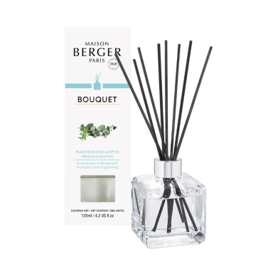 Maison Berger namų kvapas Fresh Eucalyptus 125 ml