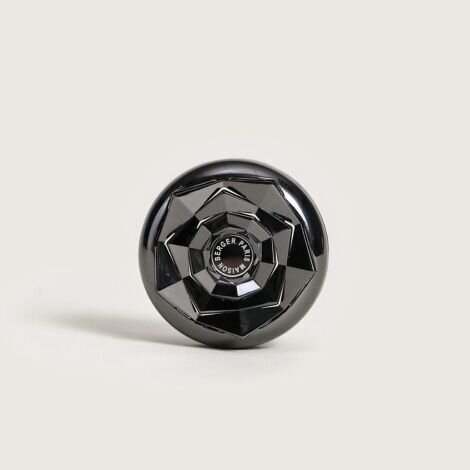 Maison Berger automobilio kvapas Kali Vanilla Magnificence 1